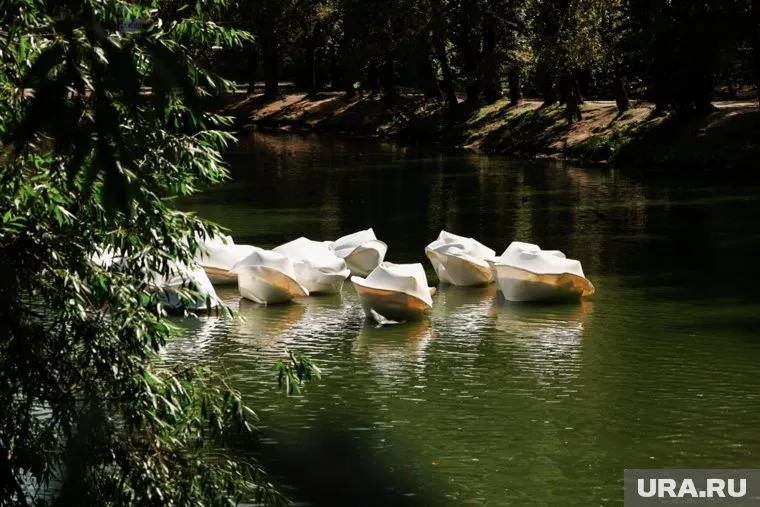 Огромные пельмени появились в пруду 4 августа