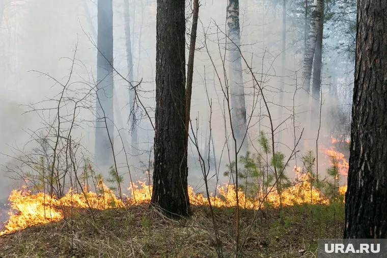 О причинах возгорания не сообщается