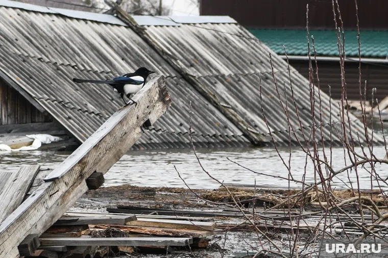 Что можно отметить 1 ноября 2025 года