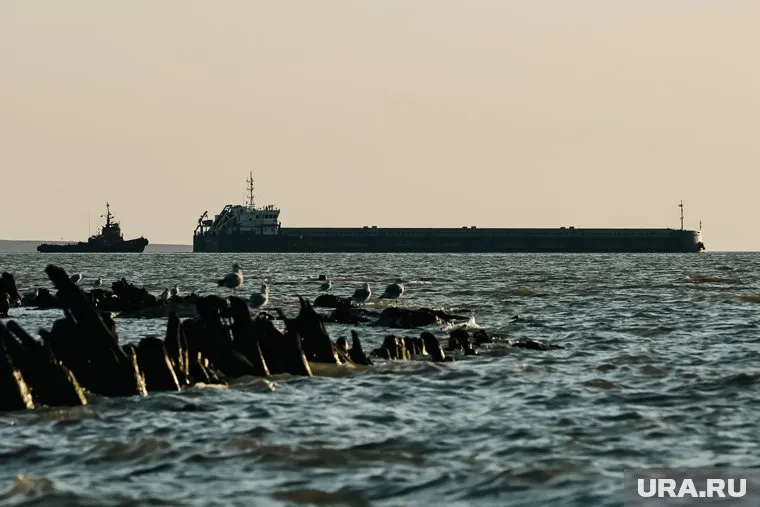 «Волгонефть-239» является одним из двух танкеров разливших мазут в Черном море