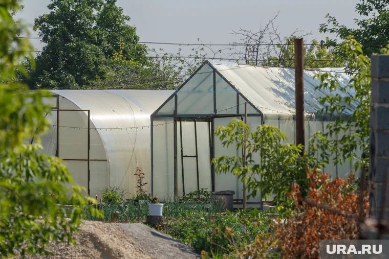В октябре садоводам нужно подготовить теплицу и почву к зимовке