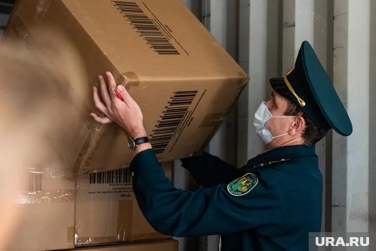 Незаконную партию изъяли в аэропорту Кольцово (архивное фото)
