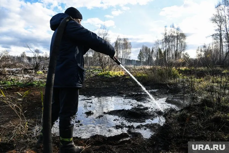 План подразумевает поддержку поселков в зоне риска лесных пожаров, архивное фото