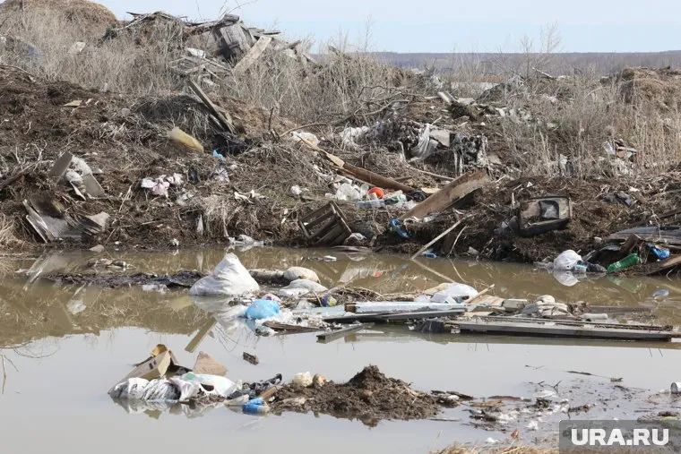 Так выглядит та самая свалка 23 апреля