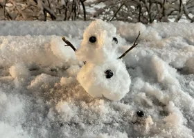 Челябинск после первого снегопада заполонили креативные снеговики