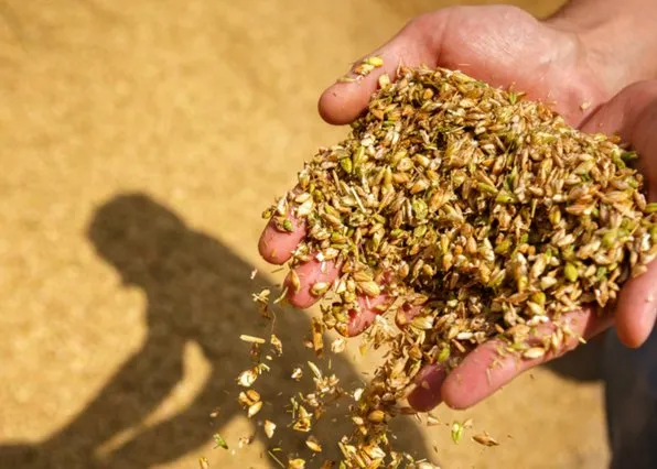 Фотография из галереи