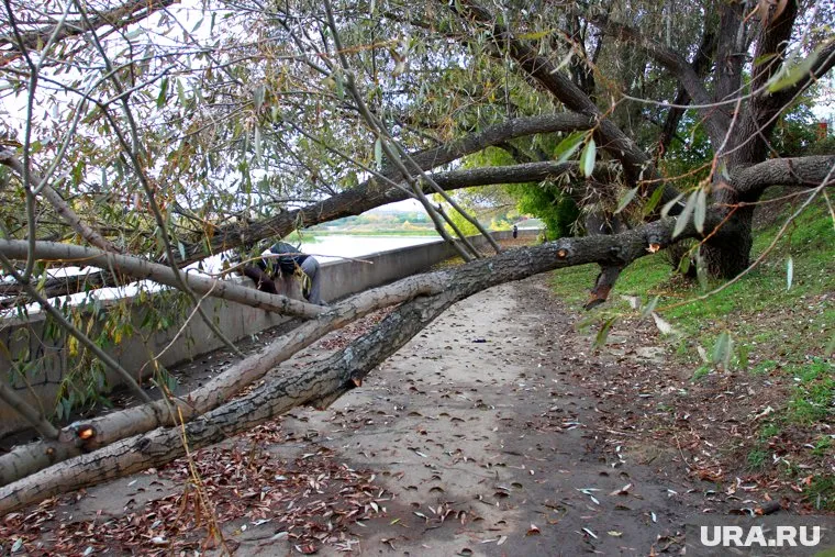 МЧС предупредило об опасном ветре в ХМАО