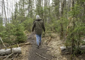 Фотография из галереи