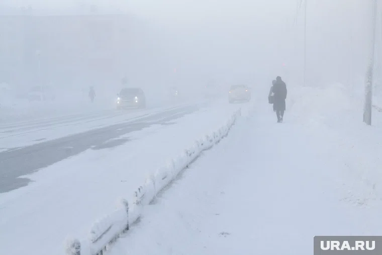 Турция и Бразилия имеют исследовательский интерес к Арктике