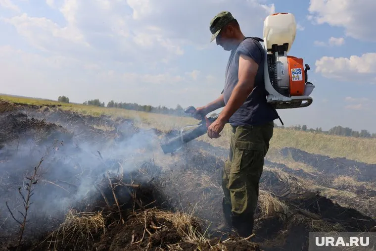 Лесной пожар рядом с селом удалось остановить
