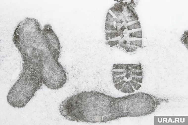 Ветер юго-западный со скоростью 4 м/с