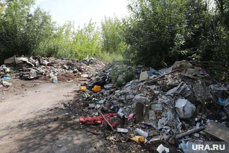 Лидер экологической партии считает, что мусор сортировать не нужно