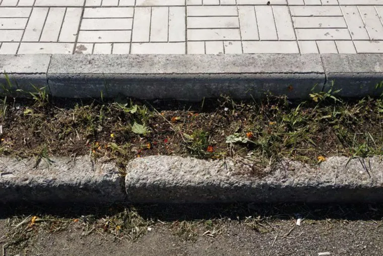 Скошенная клумба. Челябинск, клумба, цветник