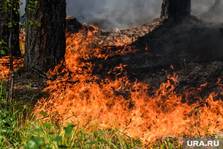 Пожар распространился за счет сильного ветра