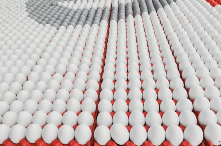 О продаже Боровской птицефабрики стало известно в начале июня