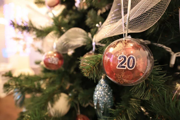 Мальчик из Курганской области загадал на елке в Кремле получить умную колонку