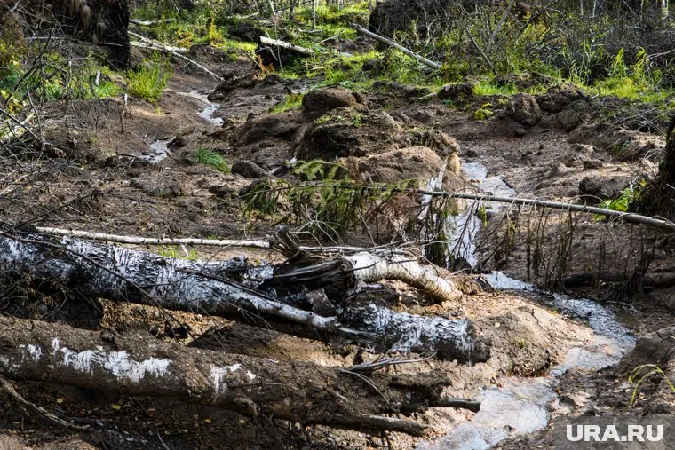 Землетрясения будут сильнее в ближайшие двадцать лет, считает геофизик Виктор Боков