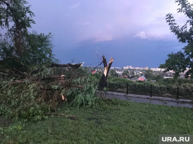 Шквалистый ветер вырывал деревья и срывал кровлю