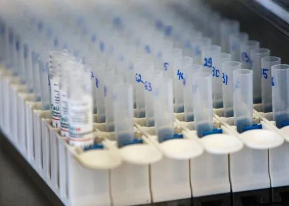 Фотография из галереи