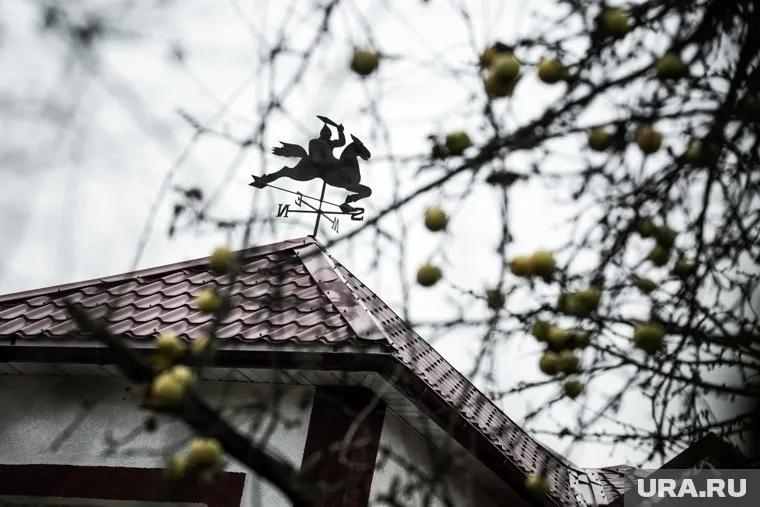 В городе за год спрос на участки под дачи вырос на 51%