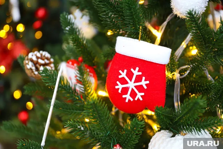 Самую дорогую квартиру в регионе на Новый год сдают в Сургуте