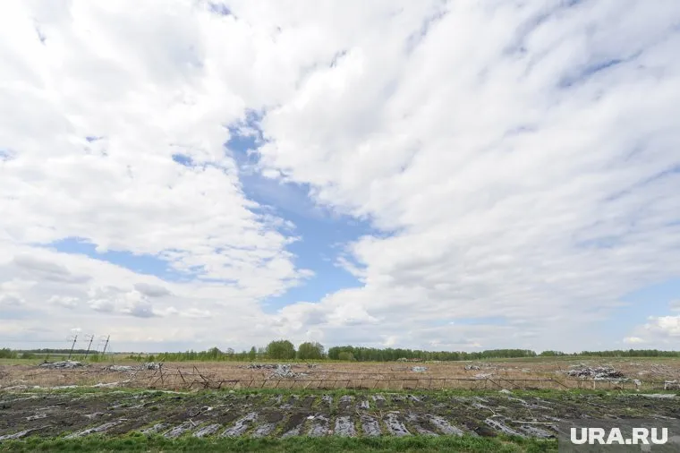 Журналисты опасаются, что без российских азотных удобрений неминуем дефицит урожая в Европе