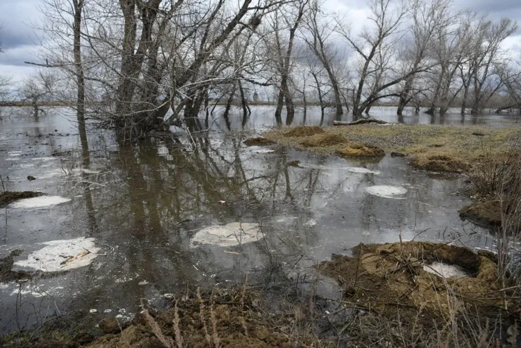 Подъем воды на берегу у деревни Бараба. Курганская область