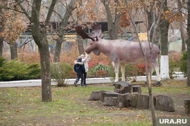 Куда убежало животное - неизвестно