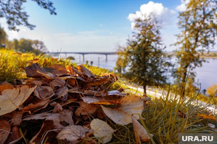 В ближайшие 10 дней в регионе установится теплая и сухая погода