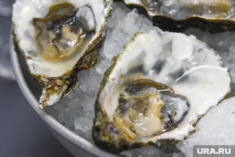 В морском гастрофестивале «На гребне» участвуют рестораны из 40 городов России