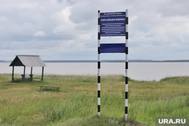 Курганцы пожаловались на насекомых на курортном пляже