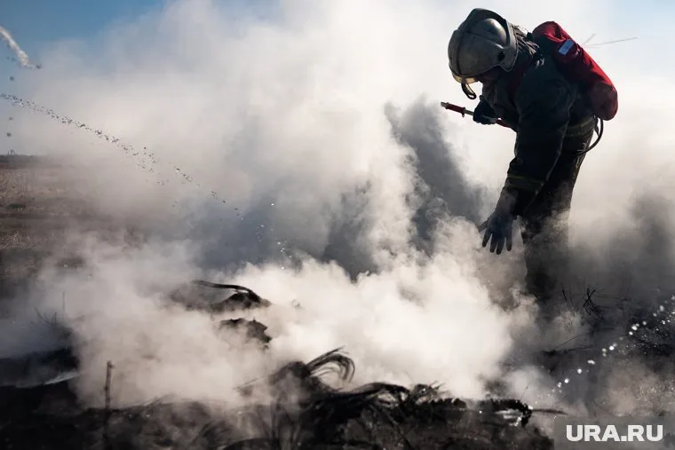 Пожарные тушили баню в Белозерском округе