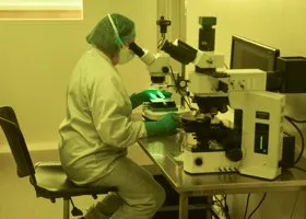 Минобороны: США возобновили программу строительства биолабораторий на Украине