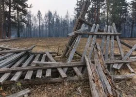 Белгородский поселок обстреляли ВСУ