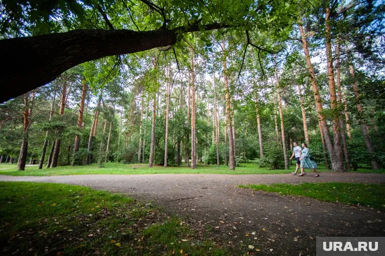Весь парк перекопают двухметровыми рвами