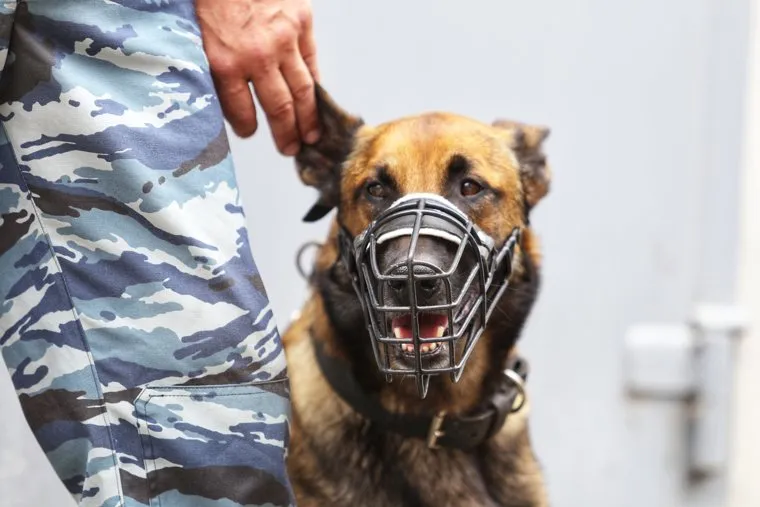 Эвакуация детей из детского сада. Курган