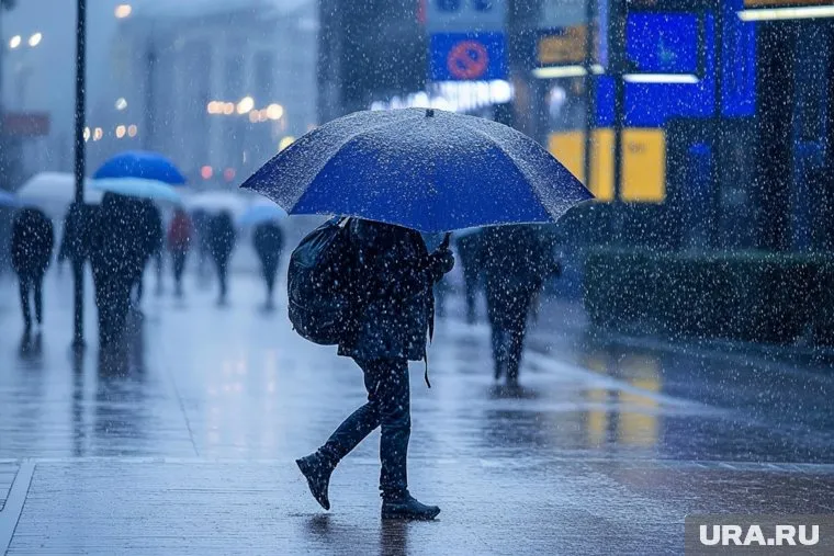 Перед выходом из дома рекомендуется взять с собой зонт