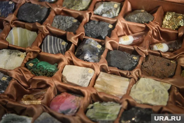 США должны заключить с РФ сделку по ресурсам для противостояния Китаю, для этого нужно закончить конфликт на Украине, пишет National Interest