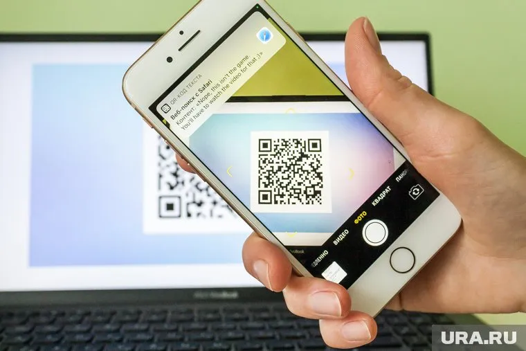 Суррогатное спирное можно определить с помощью приложения (фото из архива)