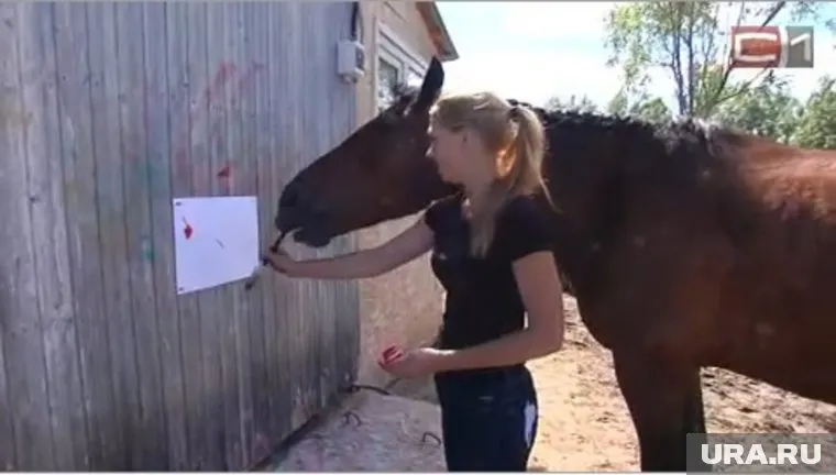 Сначала девушка учила животное различать цвета