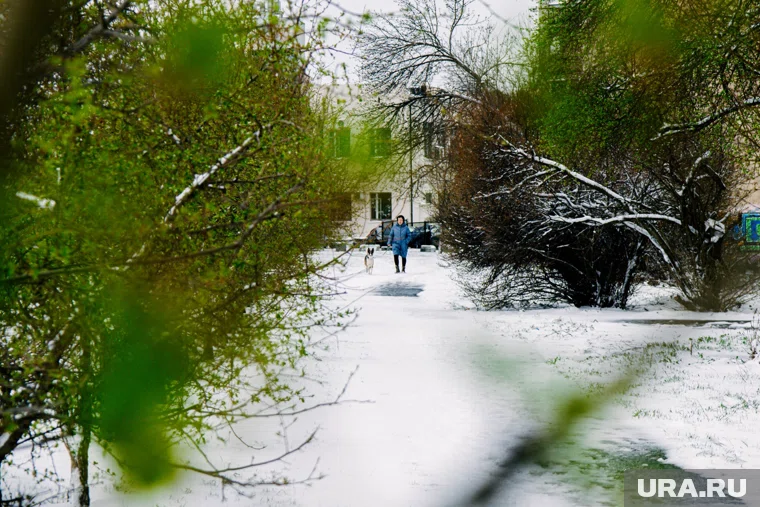 Ямал уже начало накрывать первым снегом