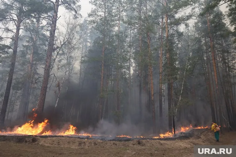 За курганским фармзаводом загорелся камыш