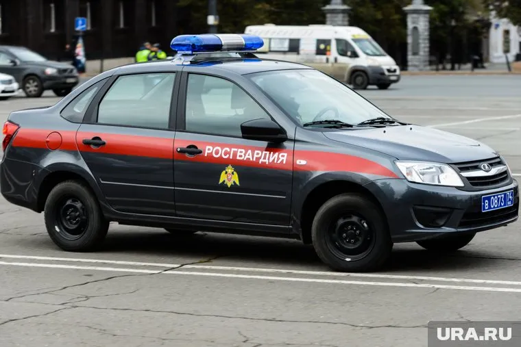 Росгвардейцы задержали подозреваемого и передали полиции