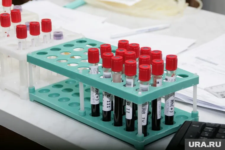 Авиадебоширу предстоит пройти проверку у психолога и психиатра