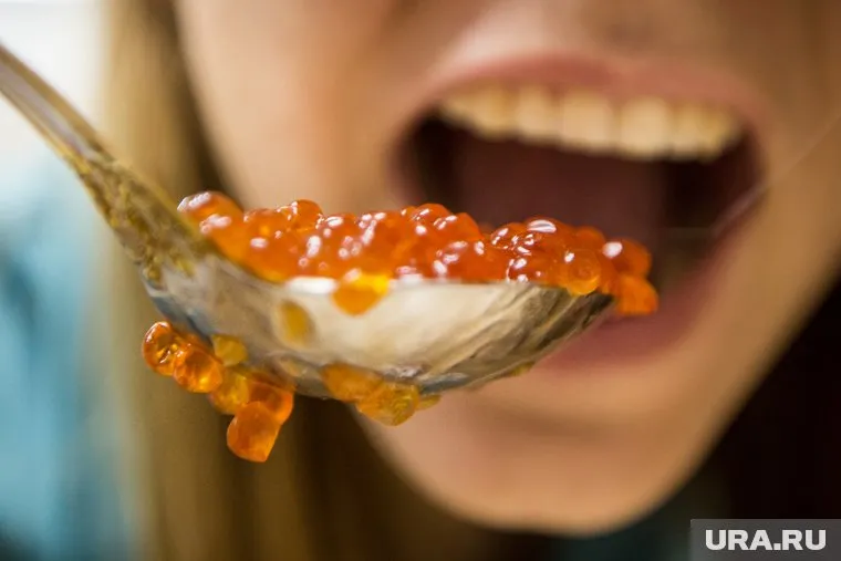 На стадионах ЧМ-2018 будут продавать еду