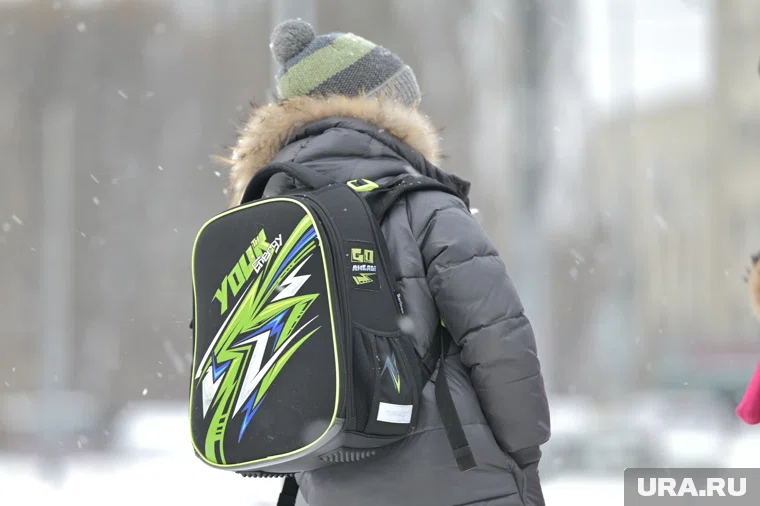 Младшеклассникам разрешили не ходить в школу