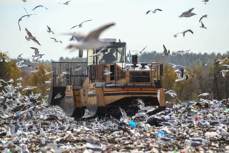 Проверка ОНФ и Общественной палатой Тюменской области полигона твердых бытовых отходов на Велижанском тракте. Тюмень, птицы, экология, отходы, полигон ТБО, мусор, свалка, чайки