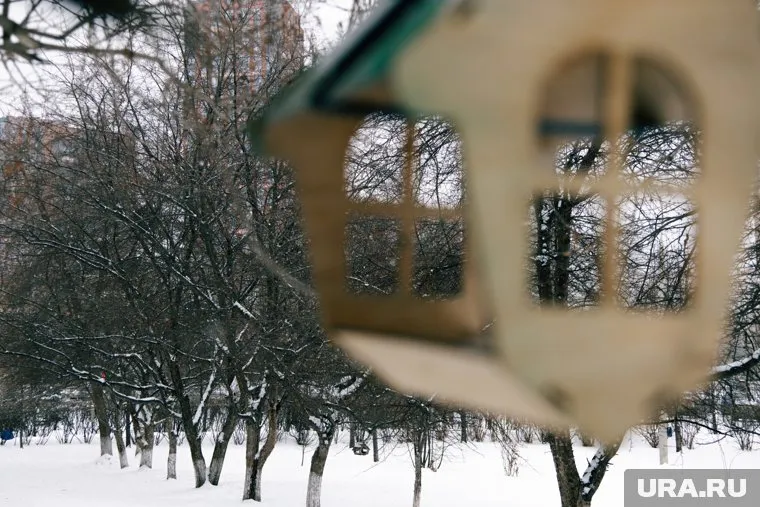 Полновесного руководителя в Шарташском лесопарке нет с июля 2024-го