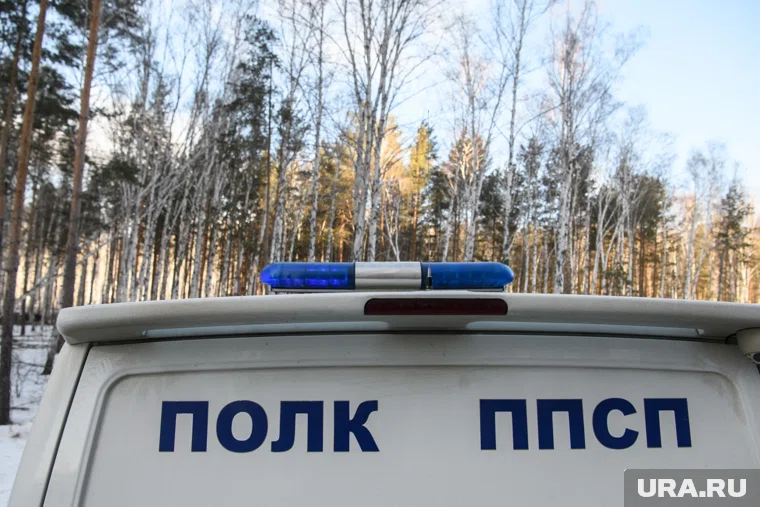 Силовики задержали Александра Уфимцева в его частном доме