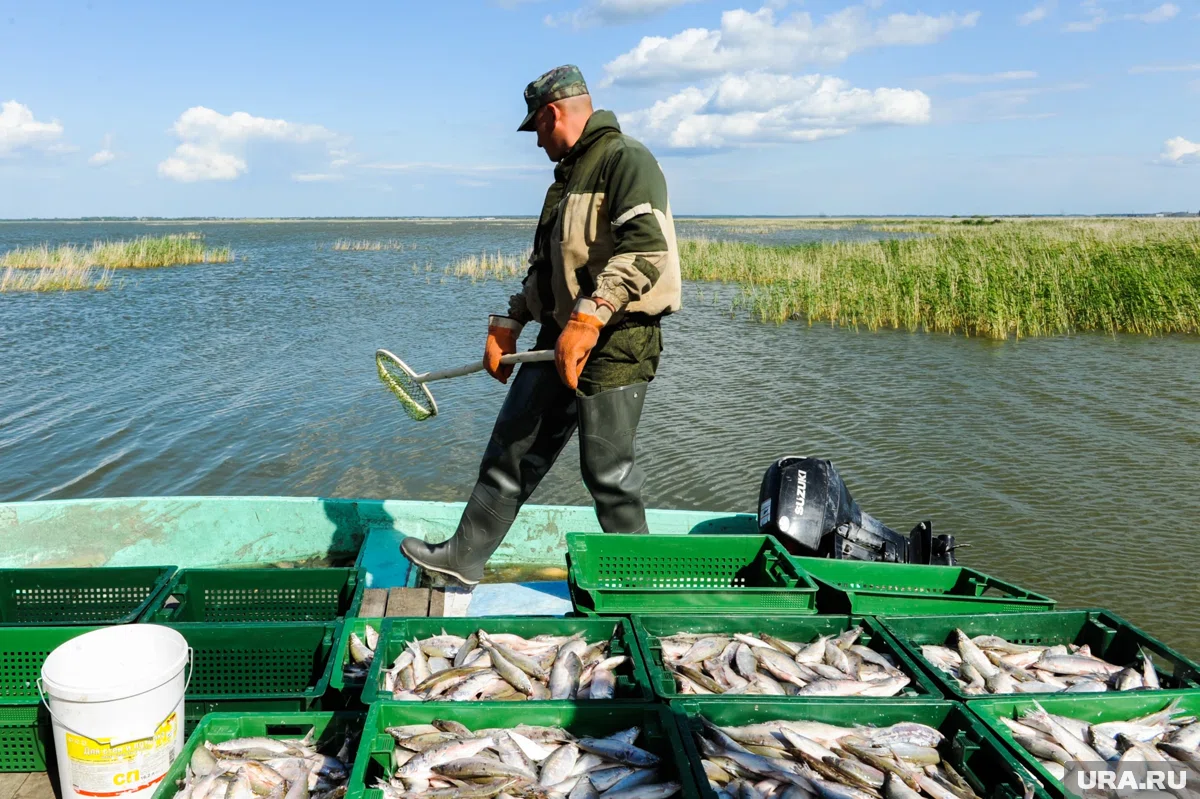 Рыбоводческие хозяйства Челябинской области предлагают все больше вакансий